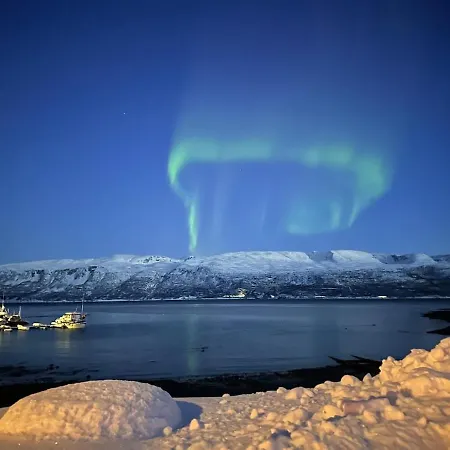 Your For Skiing, Fishing And Arctic Holidays In Lyngen Holiday home