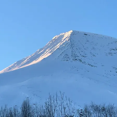 Ferienhaus Your For Skiing, Fishing And Arctic Holidays In Lyngen Furuflata