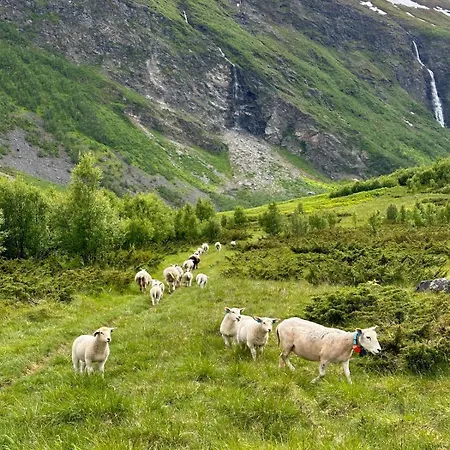 Your For Skiing, Fishing And Arctic Holidays In Lyngen Furuflata