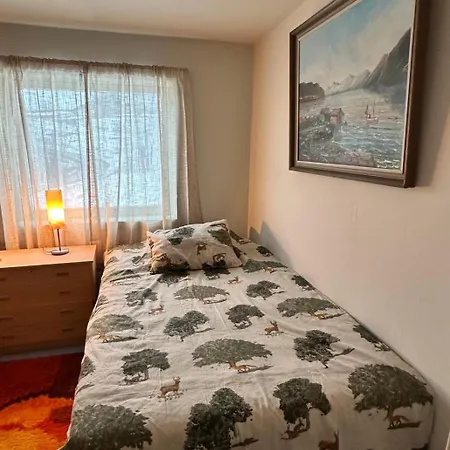 Your For Skiing, Fishing And Arctic Holidays In Lyngen Ferienhaus Furuflata